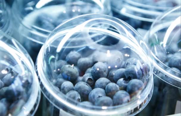 プラスチック容器内の新鮮なブルーベリーの映像 健康的な食事のための農家市場で熟したブルーベリーを購入します ダイエットのための良い栄養と天然原料 — ストック動画