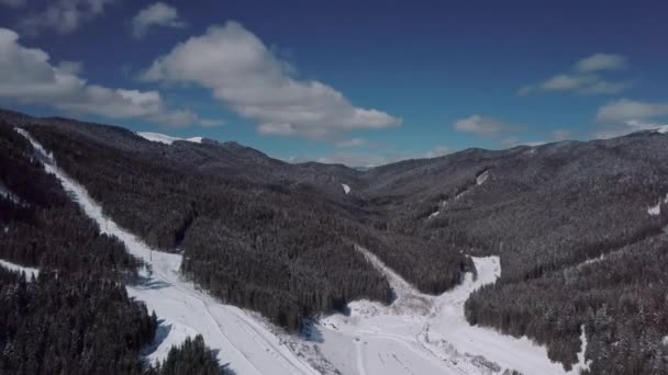 Bukovel Drone Videosu Karpat Dağları — Stok video