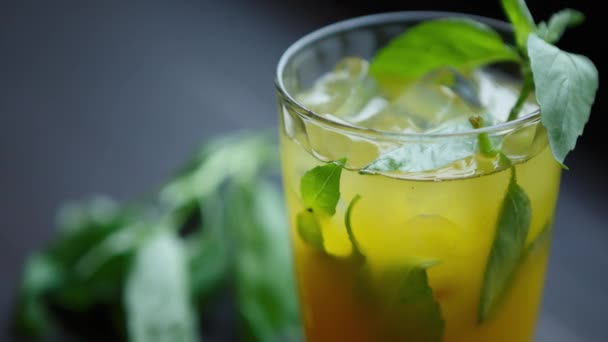 Footage Fresh Summer Cocktail Long Drink Mint Leaves Lime Slice — Stock Video