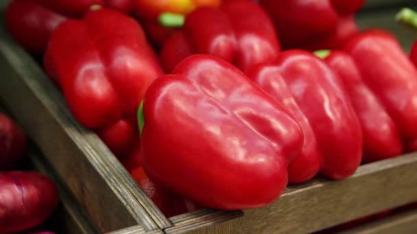 Footage Fresh Ripe Red Sweet Bell Peppers Box Sale Grocery — Stock Video