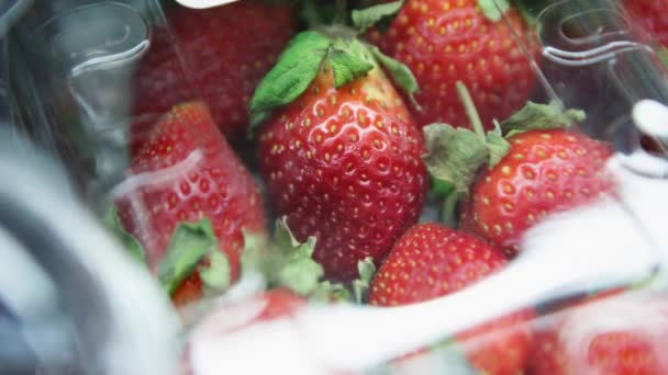 Filmación Fresas Rojas Maduras Frescas Envase Plástico Venta Tienda Alimentos — Vídeos de Stock