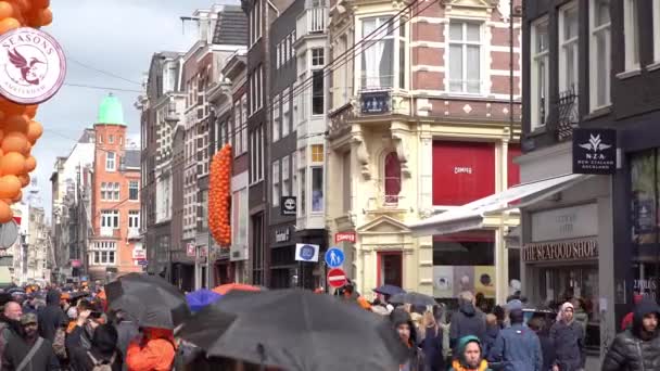 Amsterdam Hollanda Sokak Manzarası — Stok video