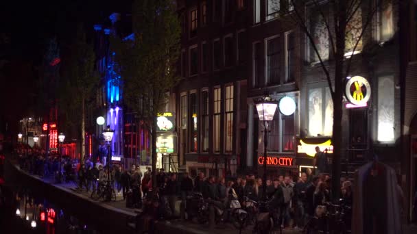 Amsterdam Κατω Χωρεσ Απριλιου 2019 Famous Red Light District Γεμάτο — Αρχείο Βίντεο