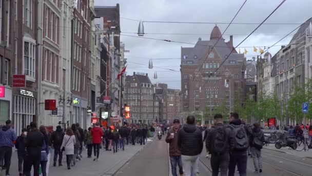 Amsterdam Países Bajos Abril 2019 Gente Celebra Día Del Rey — Vídeos de Stock