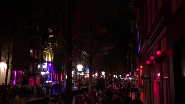 Nattutsikt Över Amsterdam Nederländerna — Stockvideo