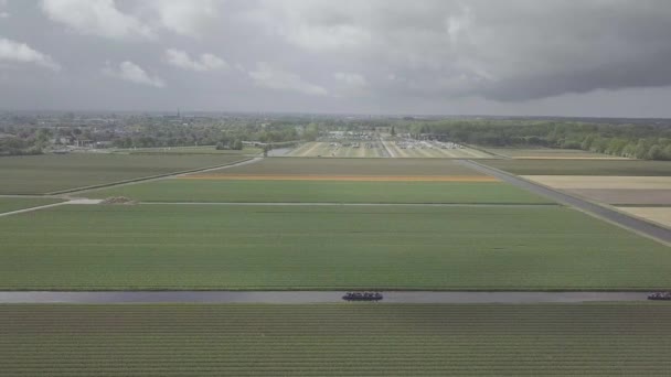 Keukenhof Hollandia Április 2019 Aeiral Drone Felvételeit Gyönyörű Tulipán Virág — Stock videók