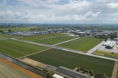 Hollanda'da doğal gıda yetiştiriciliği ile kırsal tarım alanları