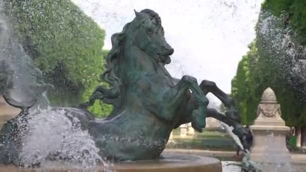 Rzeźba Koni Fontannie — Wideo stockowe