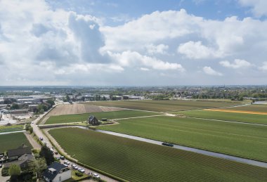 Hollanda'da doğal gıda yetiştiriciliği ile kırsal tarım alanları