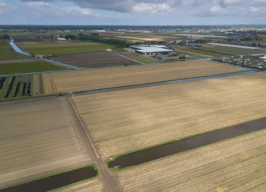 Hollanda'da doğal gıda yetiştiriciliği ile kırsal tarım alanları