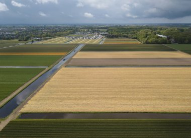 Hollanda'da doğal gıda yetiştiriciliği ile kırsal tarım alanları