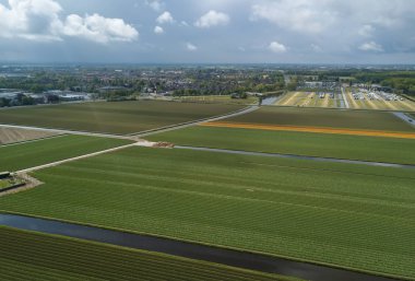 Hollanda'da doğal gıda yetiştiriciliği ile kırsal tarım alanları