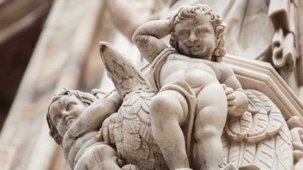 Hermoso Duomo Milano Primer Plano Esculturas Piedra Mármol Blanco Estatuas — Vídeos de Stock