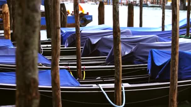 Barcos Gôndola Venezianos Tradicionais Amarrados Cais Grande Canal Perto Ponte — Vídeo de Stock
