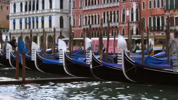 Venetië Italië Mei 2019 Gedecoreerde Gondelboten Grand Canal Traditioneel Venetiaans — Stockvideo