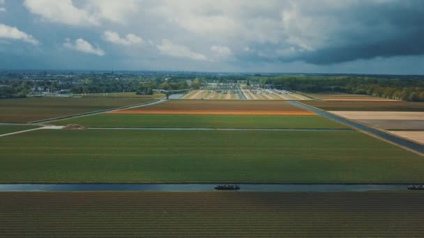 Keukenhof Κατω Χωρεσ Απριλιου 2019 Αεροπλάνο Drone Όμορφες Ολλανδικές Τουλίπες — Αρχείο Βίντεο