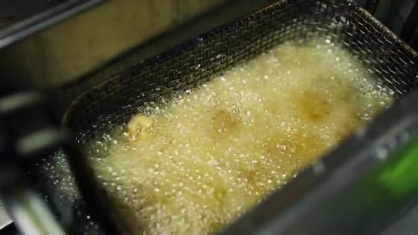 French Fries Cooking Deep Fryer American Fastfood Restaurant Kitchen Filmed — Stock Video