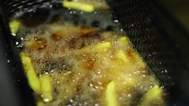 Cooking French Fries Deep Fryer Footage Boiling Hot Oil Frying — Stock Video