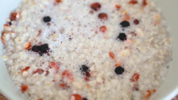 健康的早餐 全麦燕麦 碗里有浆果 美味燕麦片的片断 午饭时在近处烹调 营养好的天然配料 — 图库视频影像