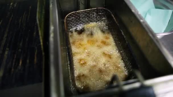 Batatas Fritas Cozinhando Fritadeira — Vídeo de Stock