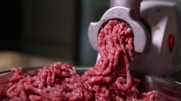 Meat Grinder Machine Mincing Raw Beef Meat Patty Hamburger Healthy — Stock Video