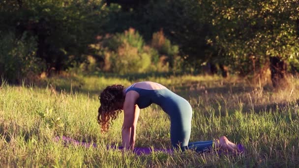 Dışarıda Yoga Egzersizi Yapan Genç Bir Kadın Yaşlarda Mavi Takım — Stok video