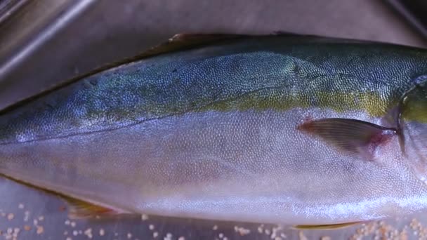 Voller Lachs Auf Metalltablett Zubereitet Für Das Kochen Fischrestaurant Gefilmt — Stockvideo