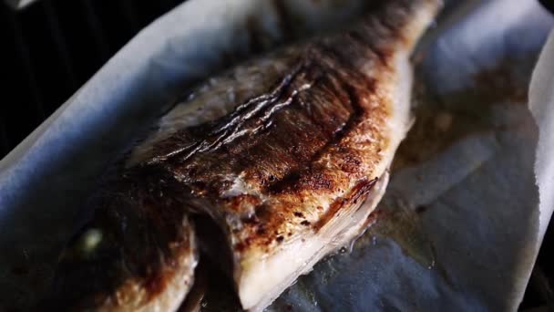 海鲈鱼烧烤 供海鲜餐厅用餐 在羊皮纸上用特写视频剪贴簿烹调整个亚洲的海鲈鱼 正在为晚餐准备特写镜头中的美味海鲜 — 图库视频影像