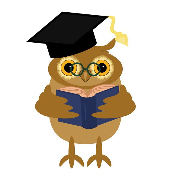 симпатичная сова с книгой на белом фоне

