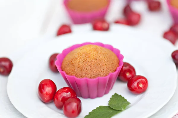 Magdalenas Chocolate Caseras Con Bayas Maduras Cereza — Foto de Stock