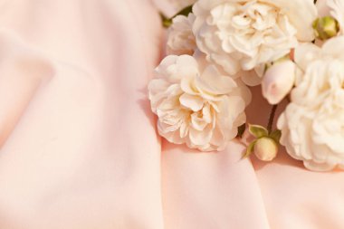 Hassas krem gül ipek kumaş arka plan üzerinde