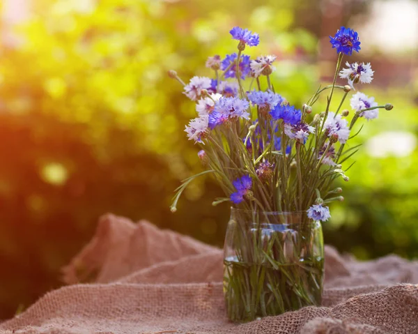 Friske Kornblomster Buket Vase Udendørs - Stock-foto