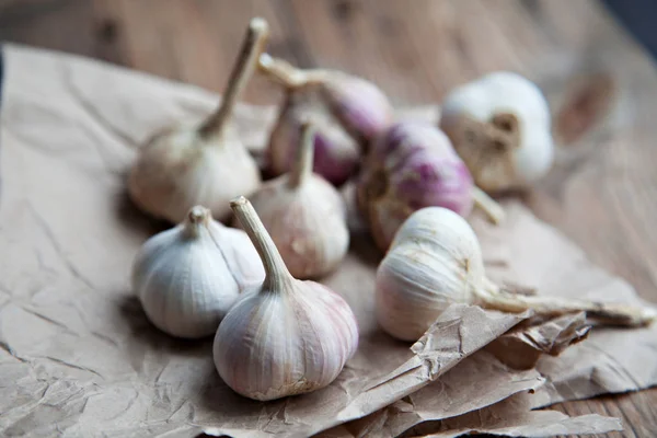 Trockener Knoblauch Auf Altem Papier Hintergrund — Stockfoto