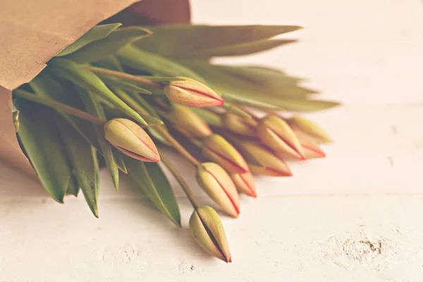 Friss Tulipán Csokor Virág Fehér Háttér — Stock Fotó