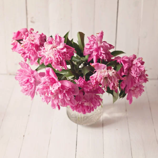 Pink Peonies Vase White Background — Stock Photo, Image