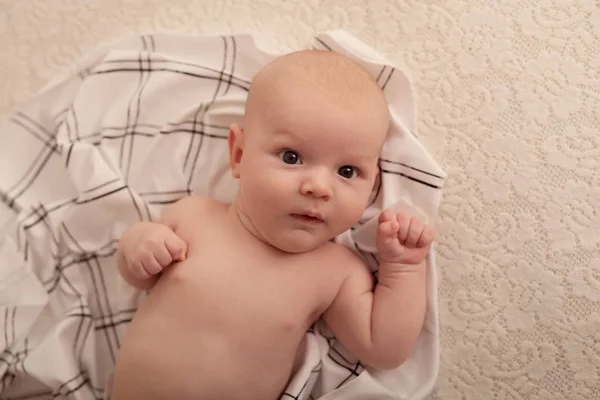 Retrato Dois Meses Idade Menino Fundo Branco — Fotografia de Stock