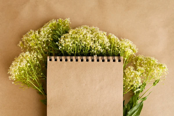 Zanaat Kağıt Arka Plan Üzerinde Kır Çiçekleri Üzerinde Defteri — Stok fotoğraf