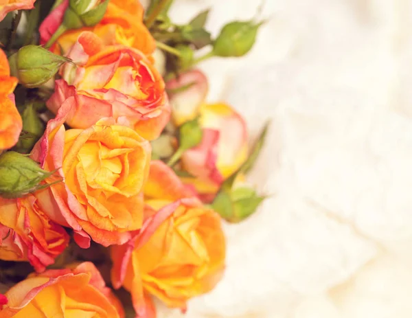 Flores Rosa Brilhantes Fundo Renda Branco — Fotografia de Stock