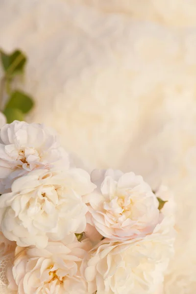 Fiori Rose Teneri Stile Vintage Uno Sfondo Romantico — Foto Stock