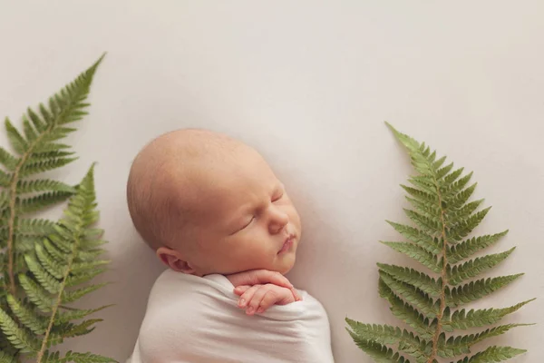 Slapende Pasgeboren Baby Jongen Dag Oud — Stockfoto