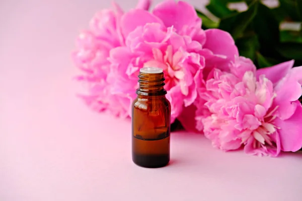 Garrafas Óleo Essencial Flores Peônias Rosa — Fotografia de Stock