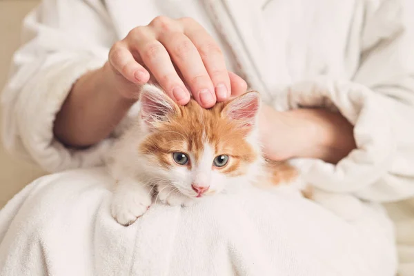 Ellerinde Kızıl Sevimli Bir Kedi Yavrusu — Stok fotoğraf