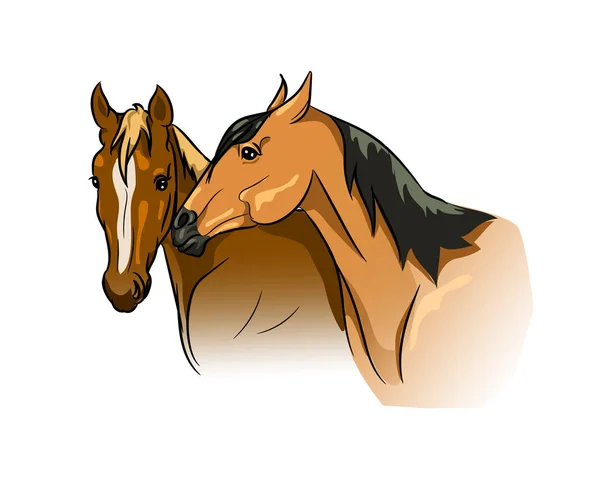 Couple Horses Communicating — Stock Vector