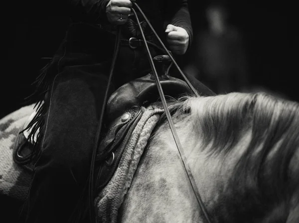 Rider pada kuda dalam gaya barat — Stok Foto