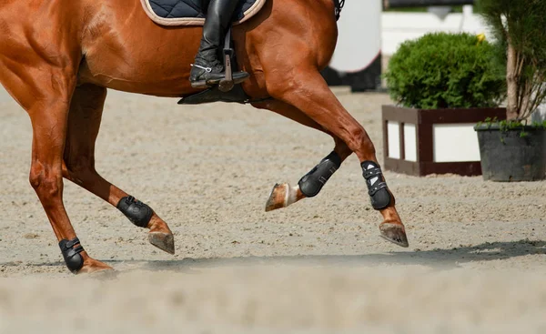 Cavallo e cavaliere in movimento al galoppo — Foto Stock