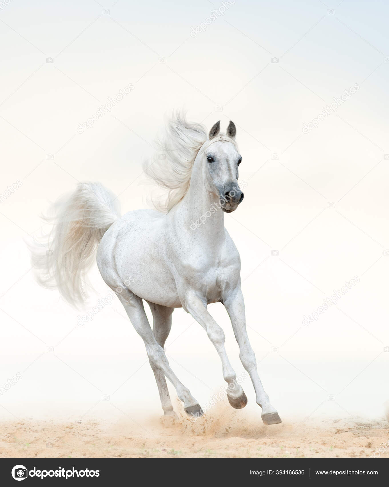 My Image 30