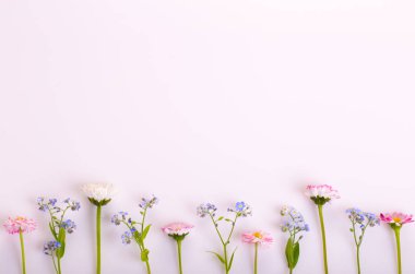 Beyaz arka planda şenlikli çiçek kompozisyonu. Genel Görünüm