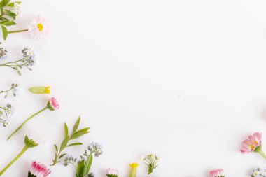 Beyaz arka planda şenlikli çiçek kompozisyonu. Genel Görünüm