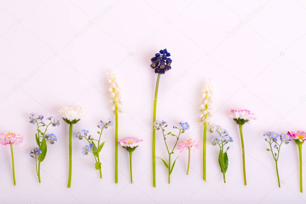 Festive flower composition on the white background. Overhead view