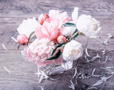 Yaprakları çiçek ve ahşap tahta üzerinde beyaz kurdele ile hassas beyaz pembe Şakayık. Ek yükü üstten görünüm, düz yatıyordu. Uzay kopyalayın. Doğum günü, anne, Sevgililer, kadın, düğün günü kavramı